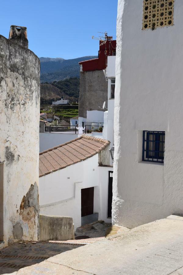Apartamento Centro de Arte Yunquera Exterior foto